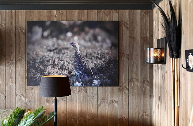 Interiér po proměně připomíná spíš luxusní obývák než starou chatu