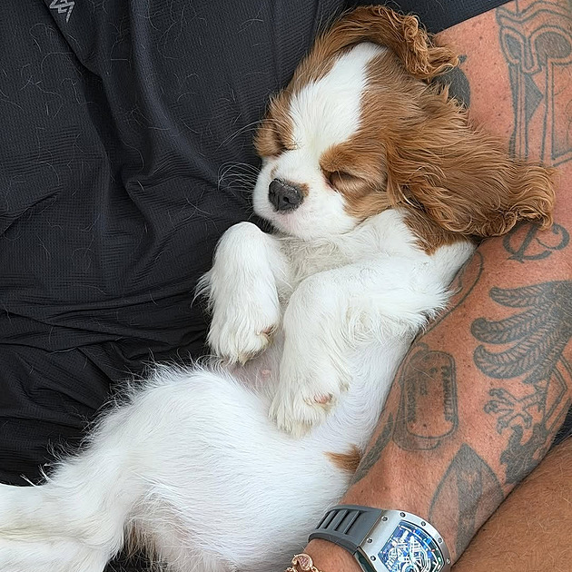 Sabalenková se fanouškům pochlubila čtyřnohým přírůstkem do rodiny