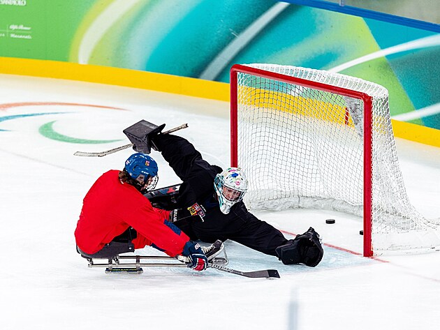 Tr�nink �esk�ch parahokejist� na paralympijsk�ch hr�ch v Mil�n�.