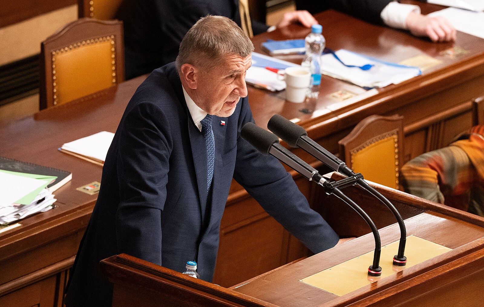 Babiš bude čelit interpelacím na ceny pohonných hmot i na závazky v NATO