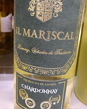 Fal�ovan� b�l� v�no ze �pan�lska