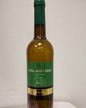 Fal�ovan� b�l� v�no ze �pan�lska