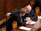 Poslanecká sn�movna projednává �ádost o vydání  Andreje Babi�e (ANO) a Tomia...