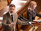 Poslanecká sn�movna projednává �ádost o vydání  Andreje Babi�e (ANO) a Tomia...