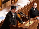 Poslanecká sn�movna projednává �ádost o vydání  Andreje Babi�e (ANO) a Tomia...