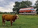 Doppelstock-Schienenbus Baureihe 670