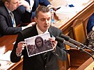 Poslanecká sn�movna projednává �ádost o vydání Andreje Babi�e (ANO) a Tomia...