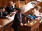 Poslanecká sn�movna projednává �ádost o vydání Andreje Babi�e (ANO) a Tomia...