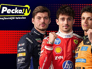 Závody formule 1 pob�í na kanálu Nova Sport 5 a internetové televizi Pecka.TV