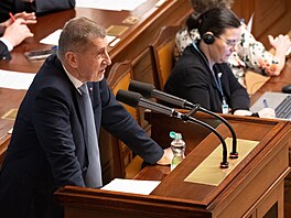 Poslanecká sn�movna projednává �ádost o vydání  Andreje Babi�e (ANO) a Tomia...
