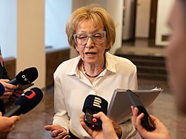 Poslanecká sn�movna projednává �ádost o vydání  Andreje Babi�e (ANO) a Tomia...