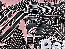 Maskovaný prototyp �kody Peaq v nové výrobní hale pro bateriové systémy...