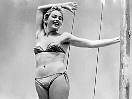 Jen�e proti uhlazenému, úhledn� poskládanému �ivotu její osobnost revoltovala....