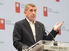 Tisková konference po jednání vlády. Na snímku hovo�í premiér Andrej Babi�. (2....