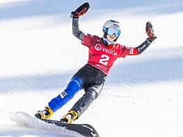 Zuzana Mad�rová se raduje na Sv�tovém poháru alpských snowboardistek ve...