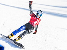 Snowboardistka Zuzana Mad�rová slaví druhé místo ve slalomu v závod� Sv�tového...