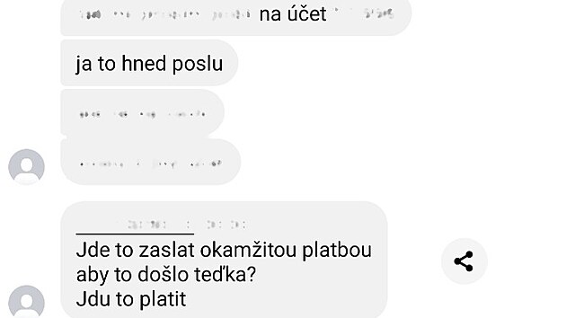 Podvodnice obrala stovky �ech� o miliony, l�kala je na dovolenou sn�.