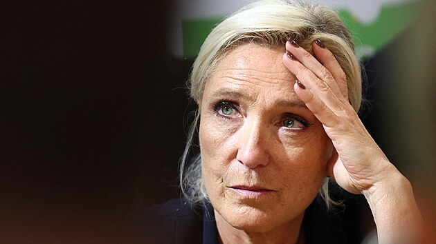 Francouzsk� krajn� pravicov� v�dkyn� Marine Le Penov� v Pa��i (26. �nora 2026)