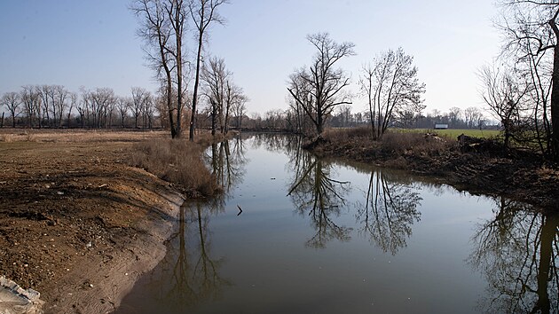 Mrtv� rameno Moravy se po zaplaven� napojilo do ���n�ho syst�mu na jihu m�sta a pom�h� odv�d�t zv��en� pr�tok vody. (2. b�ezna 2026)