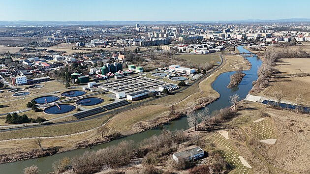Obnoven� mrtv� rameno �eky Moravy v Nov�ch Sadech v Olomouci, kter� je od lo�sk�ho podzimu sou��st� protipovod�ov�ch �prav v t�to ��sti m�sta, se kv�li t�n� sn�hu a n�sledn�mu zv��en� hladiny zaplnilo vodou. (2. b�ezna 2026)