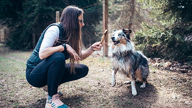 �nikovka venku Janu Tesa��kovou napadla za covidu p�i proch�zce v p��rod�. (b�ezen 2026)