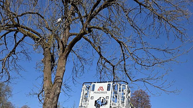 Hasi�i museli pou��t automobilov� �eb��k.