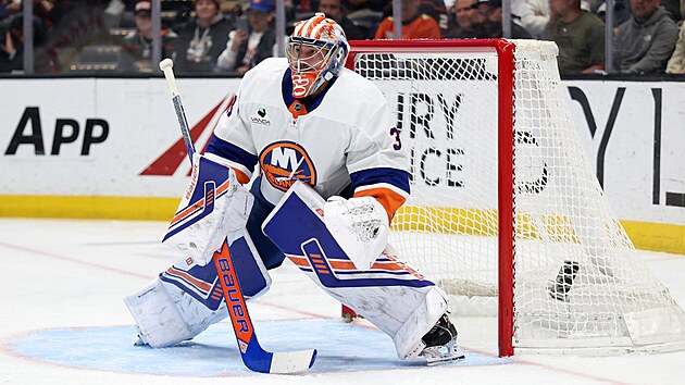 Brank�� New York Islanders David Rittich sleduje hru p�ed sebou b�hem utk�n� proti Anaheimu.