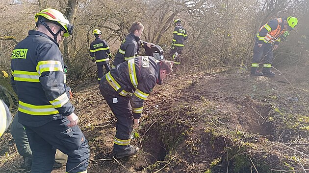 Hasi�i ze �ty� jednotek se sna�� vyprostit u N��an na Plze�sku loveck�ho psa, kter� z�ejm� uv�zl v jezev�� no�e. Na pomoc p�ivolali i mal� rypadlo, aby jim vy�istilo ter�n. (3. b�ezna 2026)