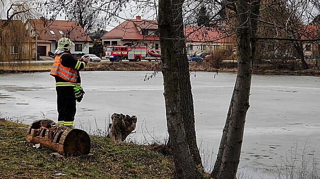 Z�chrana srnce uv�zn�n�ho na taj�c�m ledu uprost�ed rybn�ka v N�ram�i na T�eb��sku (1. b�ezna 2026)