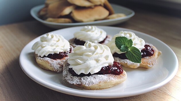 Archiv Petry Burgrov�