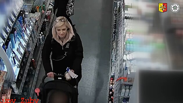�ena s ko�árkem ukradla kondomy a kartá�ky za 22 tisíc, hledá ji policie