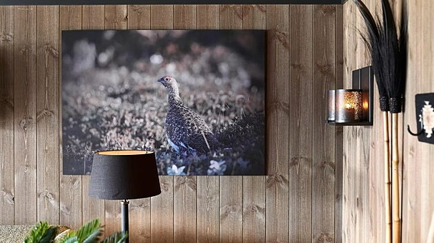Interi�r zaplnil design�r Bakke spoustou dekorac�. M�sto vycpan�ch pt�k� pou�il rad�ji fotografie.