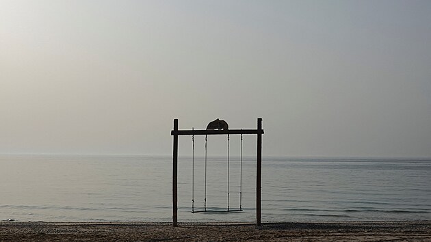 Pr�zdn� pob�e�� Hormuzsk�ho pr�livu b�hem �toku na �r�n. (2. b�ezna 2026)