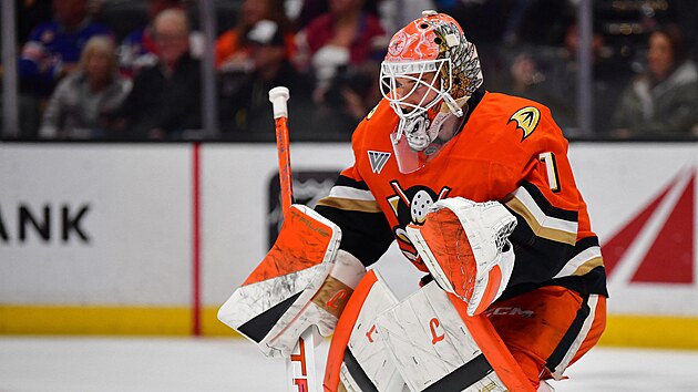 Luk� Dost�l (1) v br�n� Anaheim Ducks