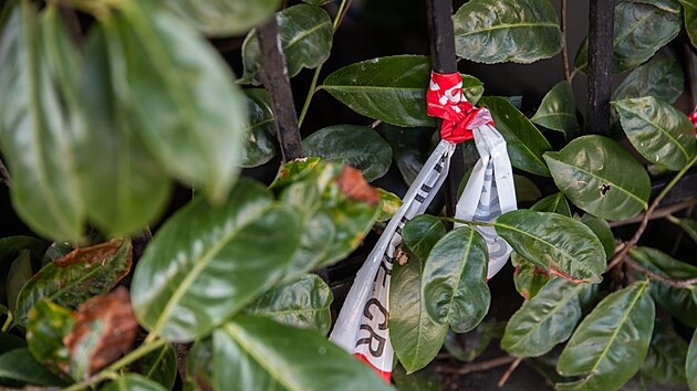 Neudr�ovan� vila v Blanick� ulici v Olomouci nedaleko n�dra�� se stala m�stem pobytu bezdomovc� a lid� z�visl�ch na drog�ch. M�sto chce majitele p�im�t k n�prav� zv��en�m dan� z nemovitosti. (3. b�ezna 2026)