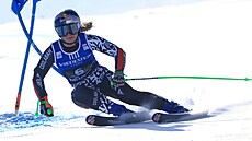 Alice Robinsonová na trati superob�ího slalomu ve Val di Fassa.