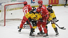 Litvínovský branká� Matej Tomek inkasuje gól v utkání s T�incem.