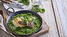 �penátové rizoto se pstruhem