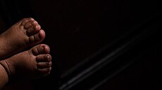 Hol�i�ku budou pochopiteln� vychovávat jako vlastní. milují ji od prvního...