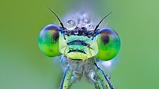 Alexandr �t�rba � Ranní probuzení  NOMINACE CZECH NATURE PHOTO 2026 kategorie...