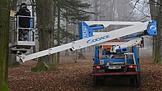 Pracovníci Technických slu�eb Karviná vyu�ívají k instalaci pta�ích budek v...