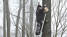 Pracovníci Technických slu�eb Karviná p�ipravuje pta�í budku k instalaci do...