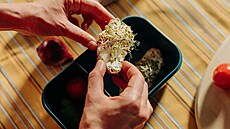 Microgreens. To je fenomén posledních let, který se dostal i na jídelní lístky...