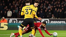 �eský obránce Ladislav Krej�í se sna�í zastavit úto�né sna�ení Salaha z...