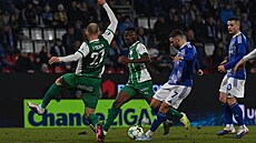 Danijel �turm st�ílí vít�zný gól v zápase proti Bohemians.