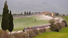 Peloton b�hem jednorázového cyklistického závodu Strade Bianche