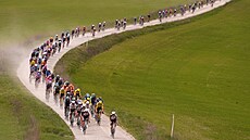 Peloton b�hem jednorázového cyklistického závodu Strade Bianche