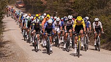 Peloton b�hem jednorázového cyklistického závodu Strade Bianche