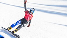 Snowboardistka Zuzana Mad�rová slaví druhé místo ve slalomu v závod� Sv�tového...