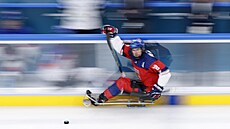 �eský parahokejista Martin �i�lavský v akci proti Slovensku.